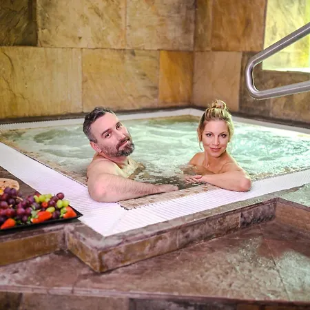 Wellness Hluboky Dvur Hotel Hruba Voda